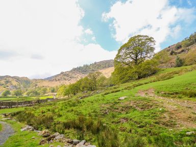 A grassy hillside with trees and hills in the background at Tilberthwaite Farm Cottage in Coniston