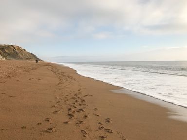 A sandy beach with footprints and waves along the shore at Cuckoo Cottage in Bridport