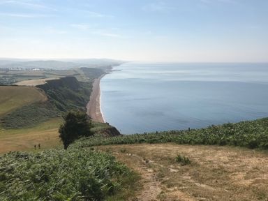 A coastal cliff with green vegetation and a path overlooking the sea at Cuckoo Cottage in Bridport