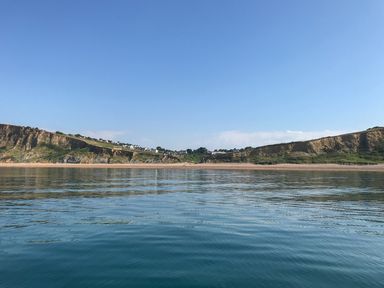 A coastal scene with cliffs houses and calm sea under clear sky at Cuckoo Cottage in Bridport