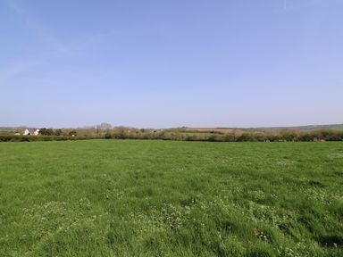 A green grassy field with trees and houses in the distance under a clear sky at Cadwgan in Aberporth