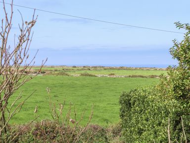 Green fields with hedges and trees under a blue sky at Swallows Nest in Morvah