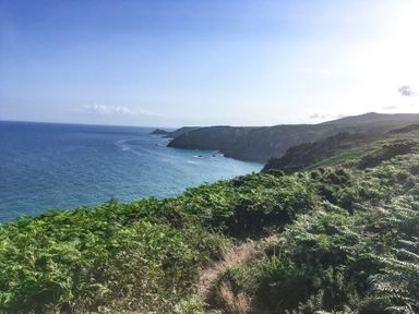 A coastal landscape with green vegetation and cliffs along the ocean at Swallows Nest in Morvah