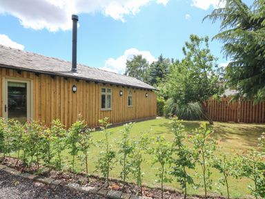A garden with a small tree and plants in front of a wooden building at The Hen House in Stockwell Heath near Rugeley