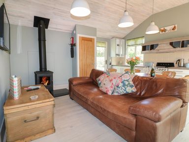 A living room with a brown leather sofa next to a wood-burning stove and a wooden chest table at The Hen House Stockwell Heath near Rugeley