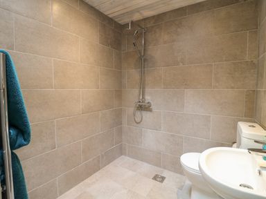 A bathroom with a walk in shower toilet and sink at The Hen House in Stockwell Heath near Rugeley