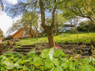 A garden with stone steps leading up to two small houses surrounded by trees and plants at Orchard Loft in Brownston near Modbury