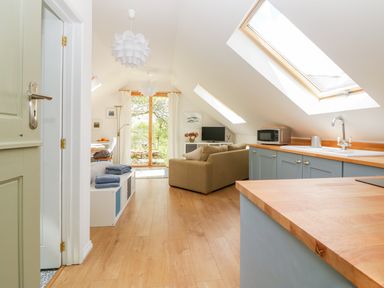 A kitchen and living area with wooden floor blue cabinets sofa and skylight windows at Orchard Loft in Brownston near Modbury