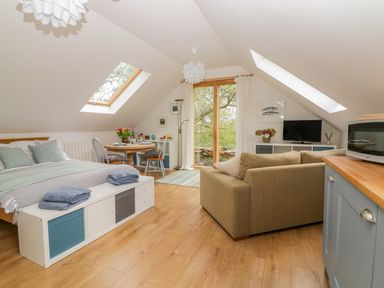 A loft bedroom with a bed dining table sofa tv and microwave at Orchard Loft Brownston near Modbury