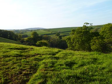 A green grassy hillside with trees and rolling hills in the background at Orchard Loft Brownston near Modbury