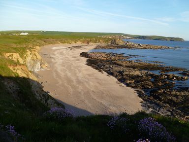 A sandy beach with rocky shoreline and grassy cliffs with purple flowers at Orchard Loft in Brownston near Modbury