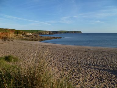 A sandy beach with grass in the foreground and rocky cliffs in the background at Orchard Loft in Brownston near Modbury