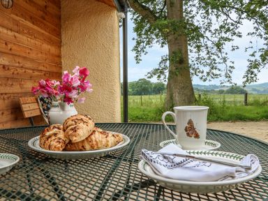 An outdoor metal table with a plate of pastries a cup with a butterfly design a napkin and flowers in a vase with a tree and field in the background at The Old Laundry in North Tawton