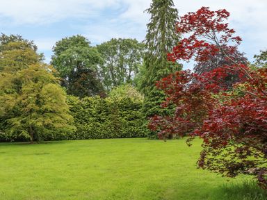 A grassy garden area with various green and red trees at The Old Laundry in North Tawton