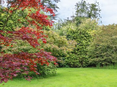 A garden with green grass and trees with red and green leaves at The Old Laundry in North Tawton