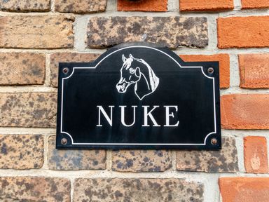 A black sign with a horse head illustration and the word nuke mounted on a brick wall at Nuke in Weymouth