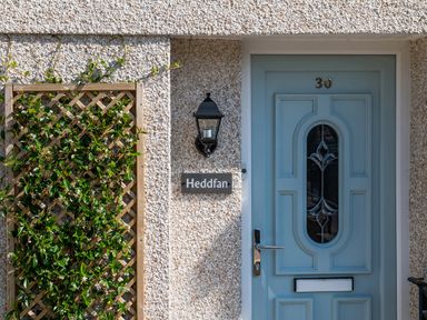 A blue door with the number 30 and a plant on a wooden trellis beside it at Heddfan in Conwy