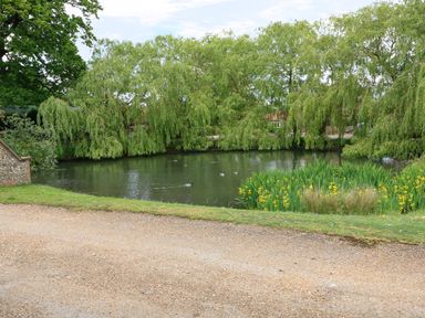 A pond with ducks surrounded by grass and willow trees at Far Barn in Fakenham