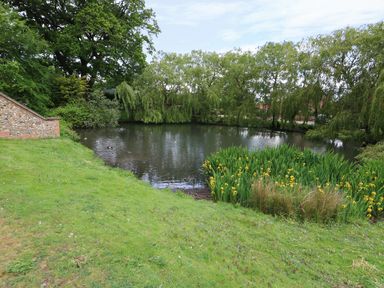 A pond surrounded by grass bushes and trees with yellow flowers at Far Barn in Fakenham
