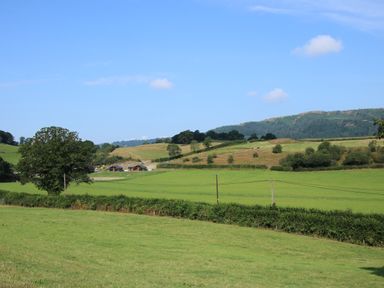 A green rural landscape with fields hills trees and cabins at Meadow View in Meifod Powys