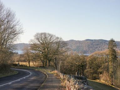 A road with trees and mountains near water at Heights View