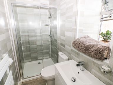 A bathroom with a shower enclosure toilet sink and a window ledge with a plant and a rolled towel at Dairy Cottage Tavernspite near Narberth