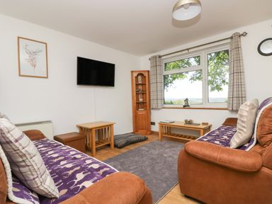 A living room with two brown sofas purple patterned throws wooden tables a wall mounted TV and a window with plaid curtains at Dartmoor 2 in Callington