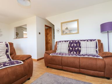 A living room with brown sofas covered by purple patterned throws pillows and a purple floor lamp at Dartmoor 2 in Callington