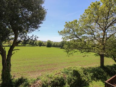 A green field with trees and bushes under a clear sky at Dartmoor 2 in Callington