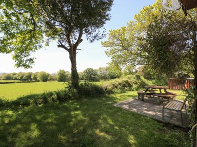 An outdoor area with a tree a bench a round wooden picnic table and grass at Dartmoor 2 in Callington