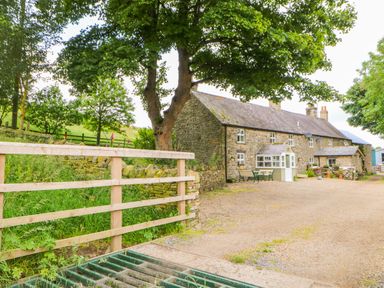 A stone cottage with a gravel driveway and large trees near a wooden fence at Isaacs Cottage Spartylea near Allendale