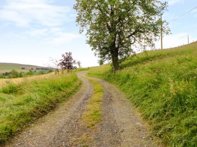 A dirt and gravel road winding through grassy hills with trees on both sides at Isaacs Cottage Spartylea near Allendale