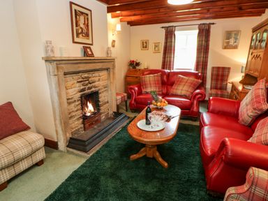 A living room with a stone fireplace red leather sofas a wooden coffee table and plaid curtains at Isaacs Cottage Spartylea near Allendale