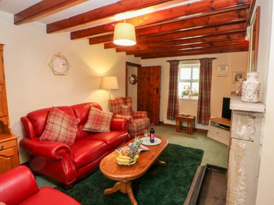 A living room with red leather sofa, plaid armchair, wooden coffee table, green rug, and stone fireplace at Isaacs Cottage Spartylea near Allendale