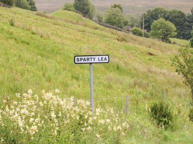 A green grassy hill with a Sparty Lea road sign and some white flowers at Isaacs Cottage Spartylea near Allendale