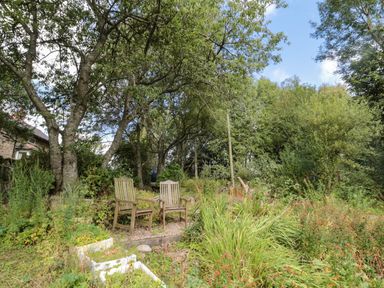 A garden area with two wooden chairs surrounded by trees and plants at West Burnbank in Tarset near Bellingham