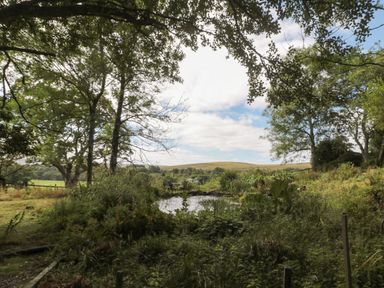 A garden with trees bushes and a small pond with hills in the background at West Burnbank Tarset near Bellingham