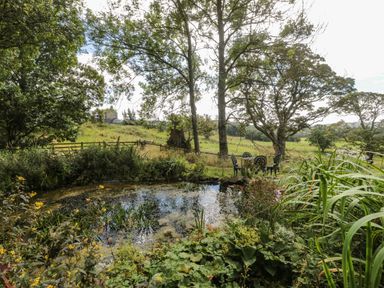 A garden pond surrounded by plants and trees with a metal table and chairs in a rural setting at West Burnbank in Tarset near Bellingham