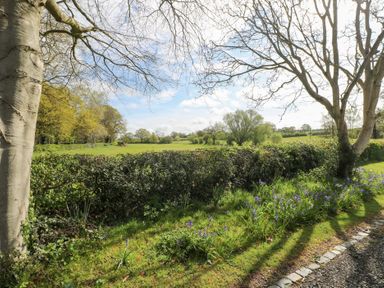 A garden with trees flowers and a hedge with fields and trees in the background at Hen House View in Rugeley