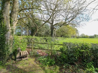 A wooden bench by trees and bushes overlooking a fenced grassy field at Hen House View in Rugeley
