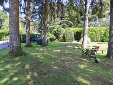 A garden with trees, a bench, and a table at Waterhead Cottage, Ecclerigg, near Troutbeck Bridge