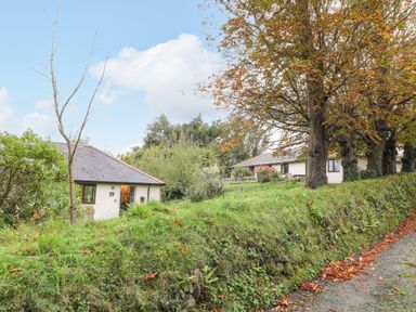 Two small houses surrounded by grass trees and a gravel path at Hazel Cottage in Poughill near Bude