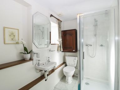 A bathroom with a shower enclosure toilet sink mirror wooden cabinet and potted plant at Pike Cottage in Acton Turville near Chipping Sodbury