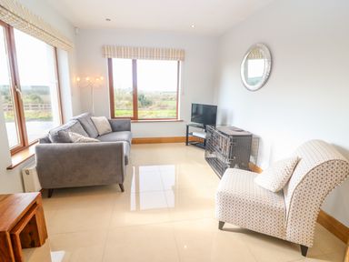 A sitting room with a gray sofa, patterned chair, TV on stand, and large windows at Rossanean in Farranfore near Killarney County Kerry