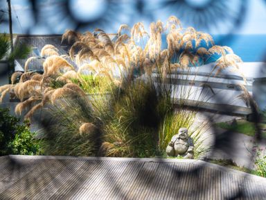 Outdoor garden area with pampas grass and a stone Buddha statue near buildings by the sea at Blue Bay Beach House in Mawgan Porth