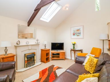 A living room with leather sofas a fireplace a television and a skylight window at Lambkin Cottage in St Columb Major