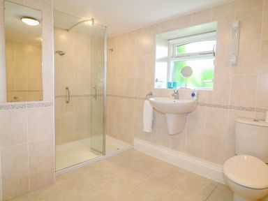 A bathroom with a glass shower enclosure sink with mirror and toilet at Forget-me-not in St Columb Major
