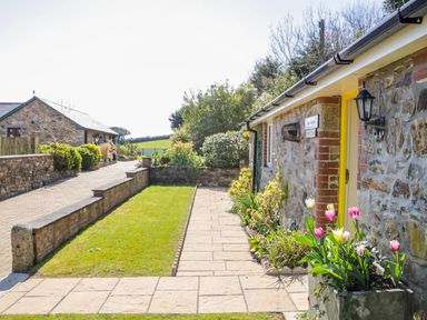 A stone cottage with a yellow door and tulips in a planter outside at FernGully in St Columb Major