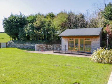 A small wooden garden building with glass doors and a paved area surrounded by grass and trees at FernGully in St Columb Major