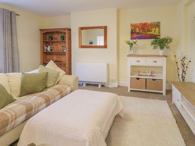 A living room with a sofa cushions and blanket a wooden bookshelf a mirror cabinet with plants and a colorful painting at Beside The Sea - In Town in Llandudno